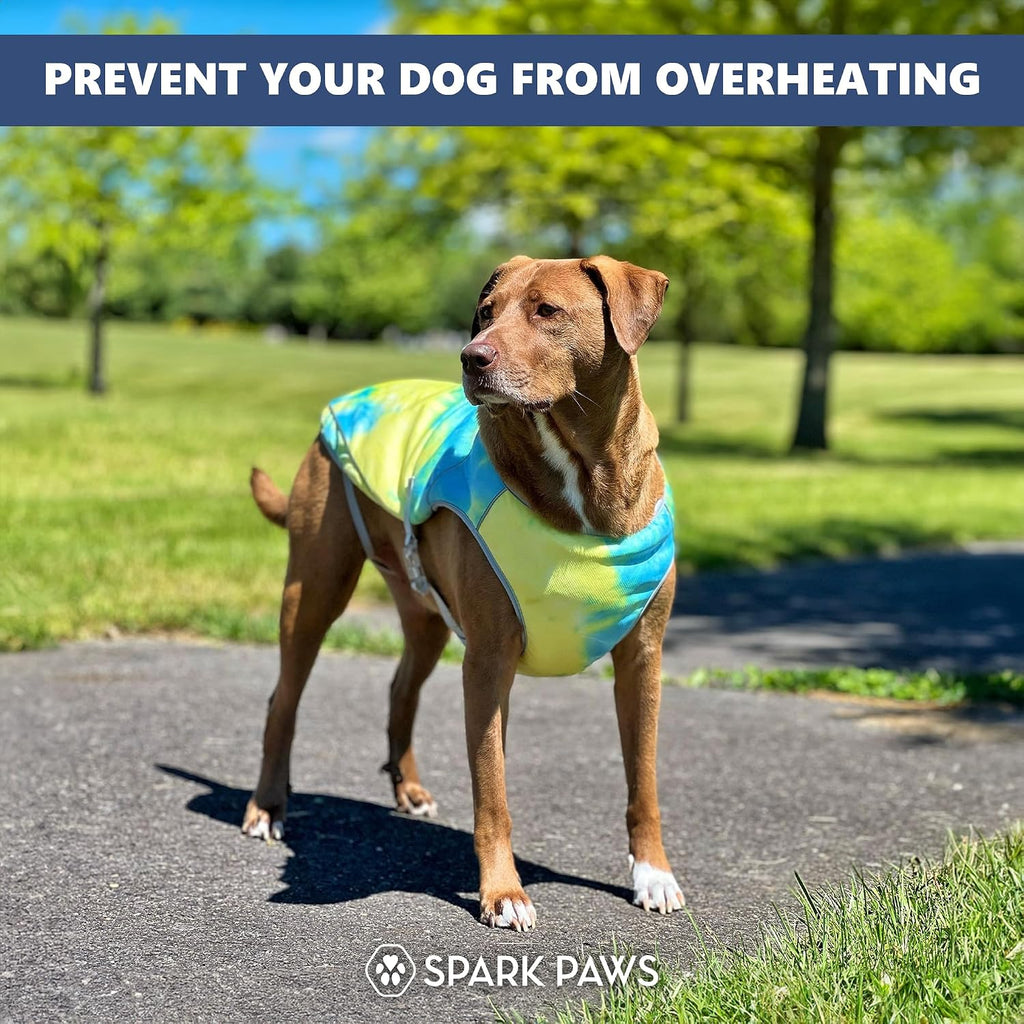Dog Cooling Vest - SPF 50 UV Sun Protection - Summer Heat Relief Gear for Dogs, Lightweight, Evaporative Cooling - Dog Anxiety Relief Vest during Hot Days - Tropical Storm, Medium