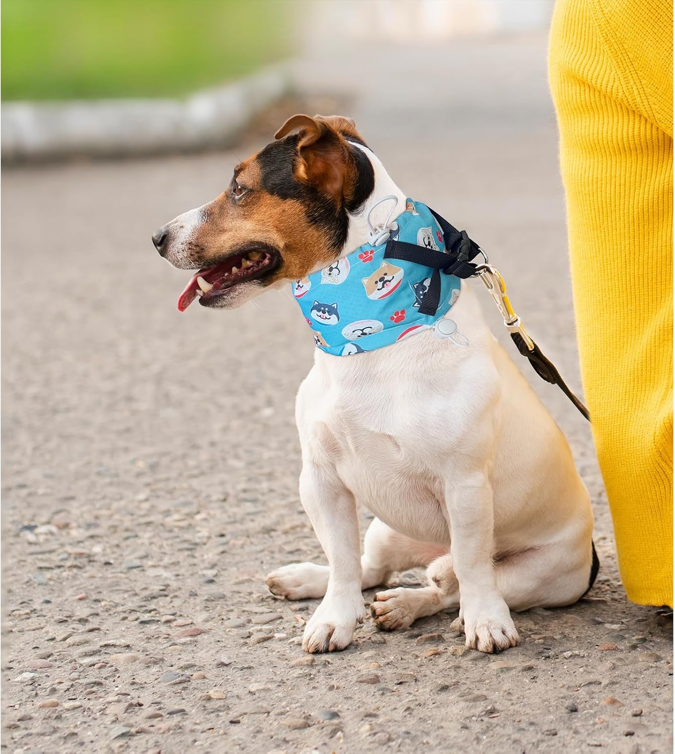 Dog Cooling Collar Harness with Recyclable Ice Packs, Pet Adjustable Ice Chill Out Bandana Collar Neck Cooler Wrap for Small Medium Large Dogs Summer (S(For Small Dogs), Blue Dogs)