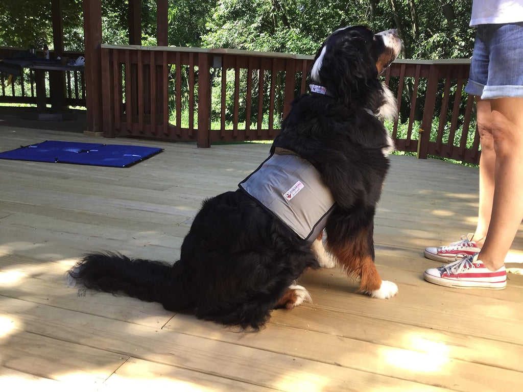 Dog Cooling Vest & Cooling Collar – Ice Vest for Hot Weather Heat Relief, Re-Freezable Pure Water Inserts (Large 27”–34” Girth)