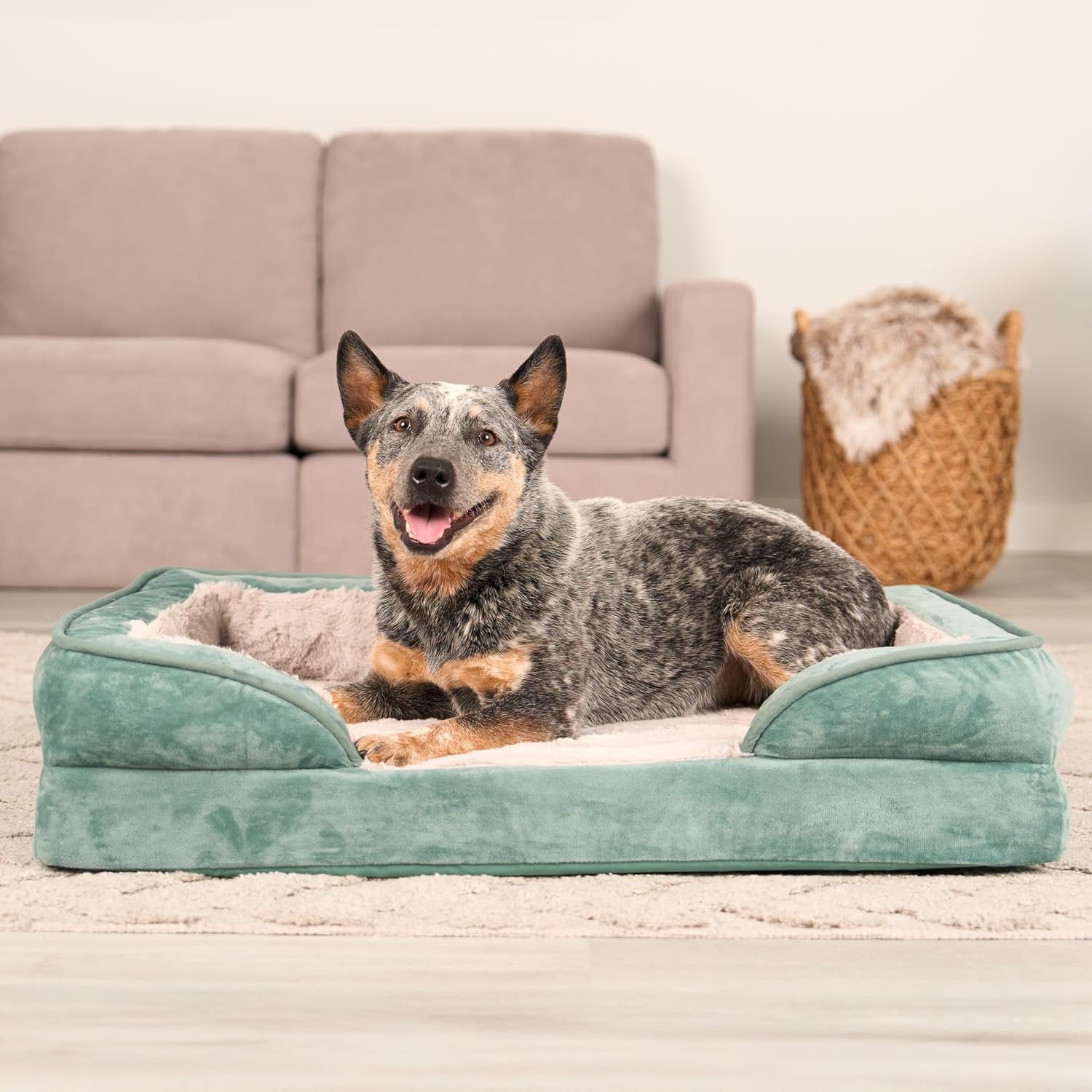 Cooling Gel Dog Bed for Medium/Small Dogs W/ Removable Bolsters & Washable Cover, for Dogs up to 35 Lbs - Plush & Velvet Waves Perfect Comfort Sofa - Celadon Green, Medium