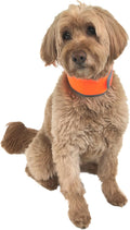 Hi-Vis Cooling Dog Collar for Medium Dogs – Reflective Re-Freezable Ice Collar for Hot Weather & Heat Relief (Orange, Medium)