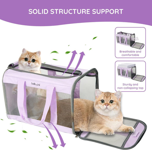 Cat Carrier Travel Bag, Airline Approved Lightweight Cat Carrier, Soft Sided Pet Carrier for Puppy Dogs up to 18Lbs, Collapsible Kitten Bag with Removable Waterproof Mat, Ventilated Mesh