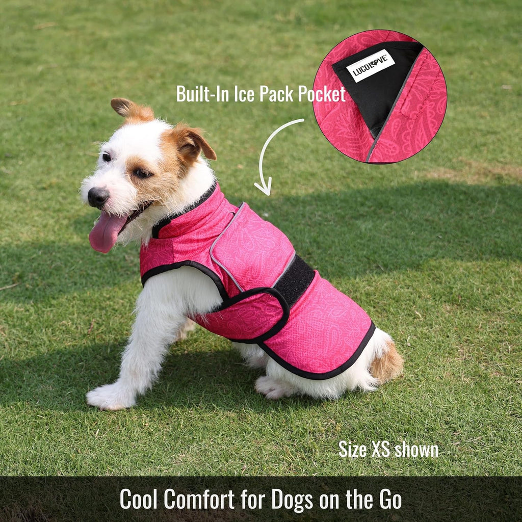 Dog Cooling Vest with Ice Pack & Cooling Collar, Pink Floral, 2XL | Maximum Cooling Support, Size-Matched Ice Packs, Cooling around Neck and Body, UV Protection, Sizes to Suit Most Dogs