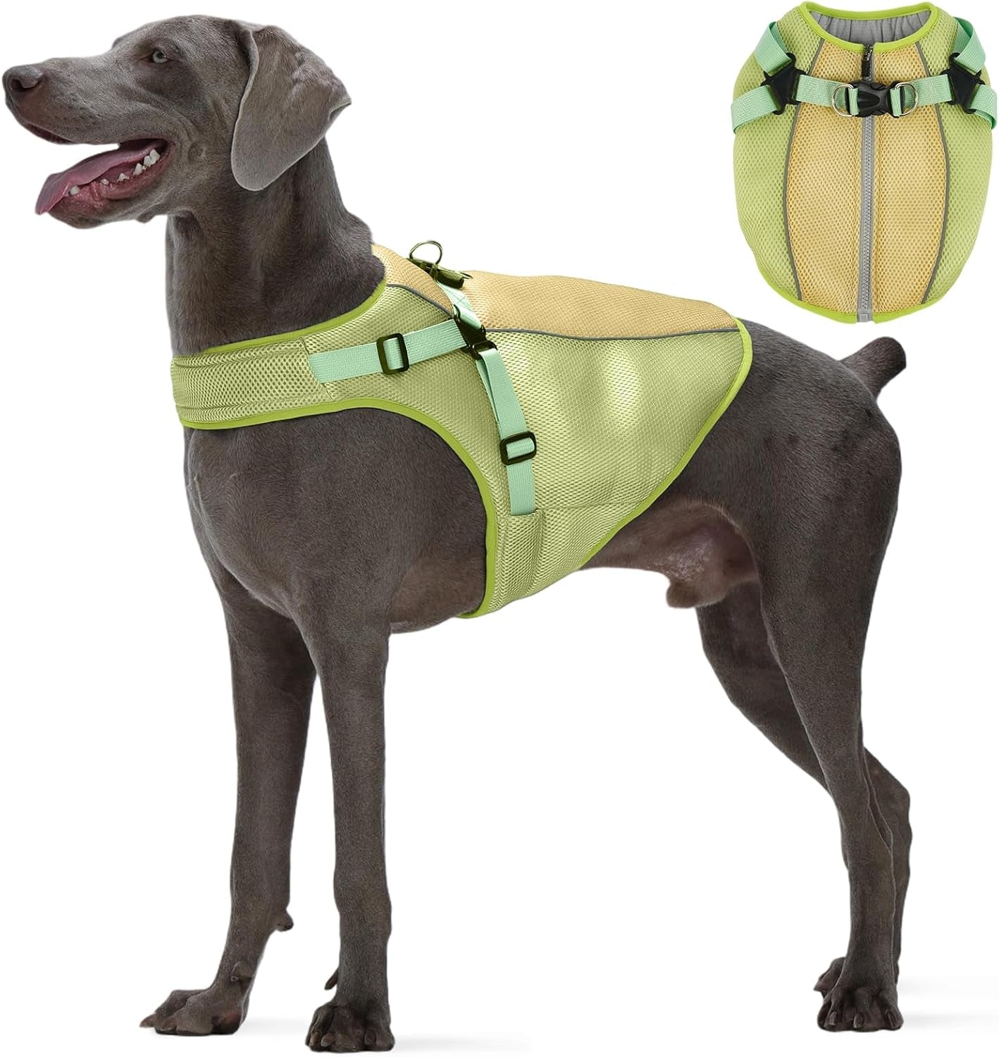 Dog Cooling Vest for Large Dogs Evaporative Cooling Jacket in Summer | Puppy Breathable Sun Mesh Cooler Vest with Reflective Stripe Pet Summer Harness Shirt for Hiking Training Playing Green 2XL