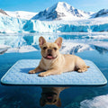 Arc-Chill Cooling Mat for Dogs & Cats, Anti-Slip Washable Cool Pad | Dog Cooling Mat, Q-Max>0.5 Fabric Absorbs Heat Fast, Fits All-Sized Pets, Suitable for Indoor/Outdoor Summer Use