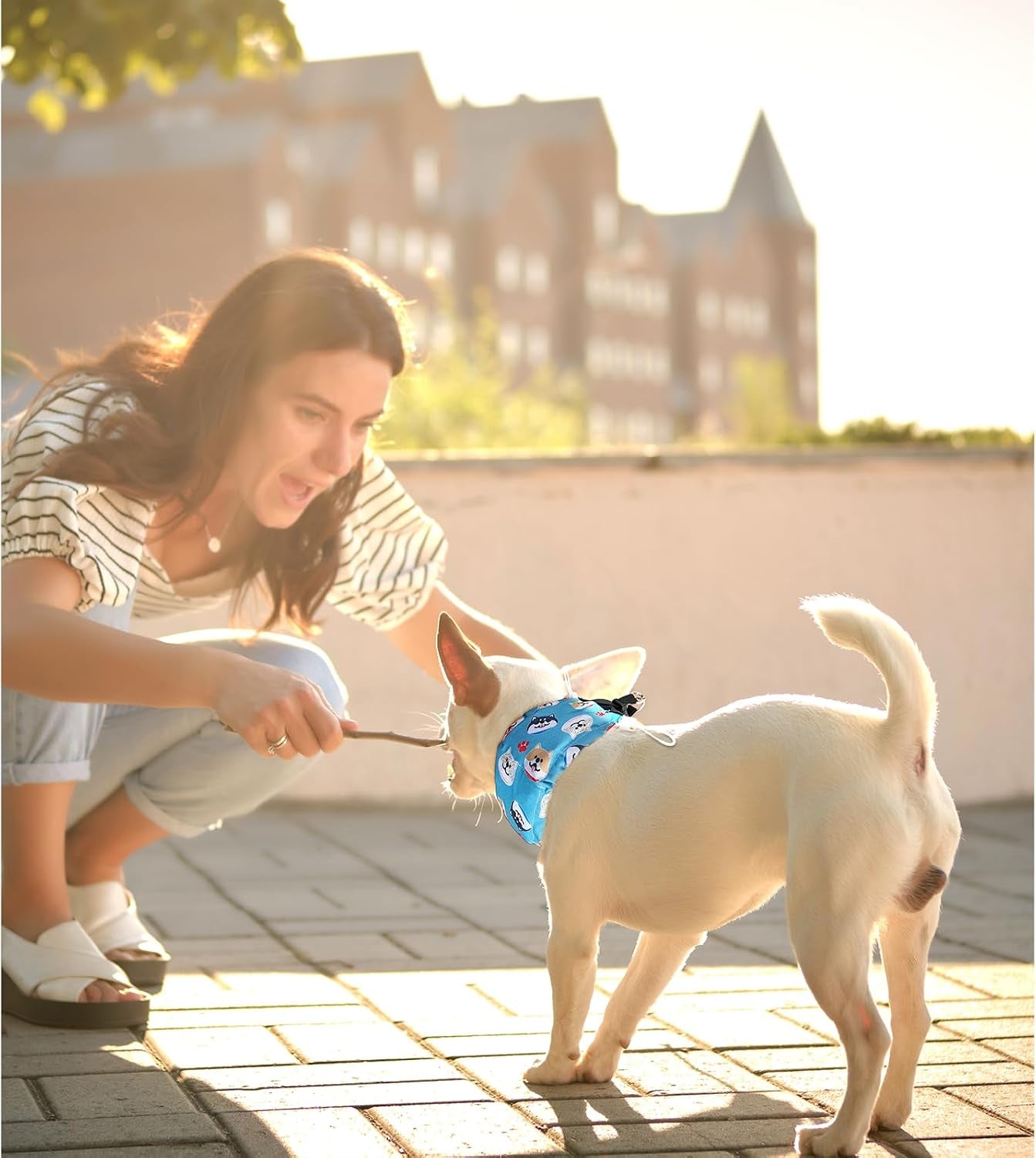 Dog Cooling Collar Harness with Recyclable Ice Packs, Pet Adjustable Ice Chill Out Bandana Collar Neck Cooler Wrap for Small Medium Large Dogs Summer (S(For Small Dogs), Blue Dogs)
