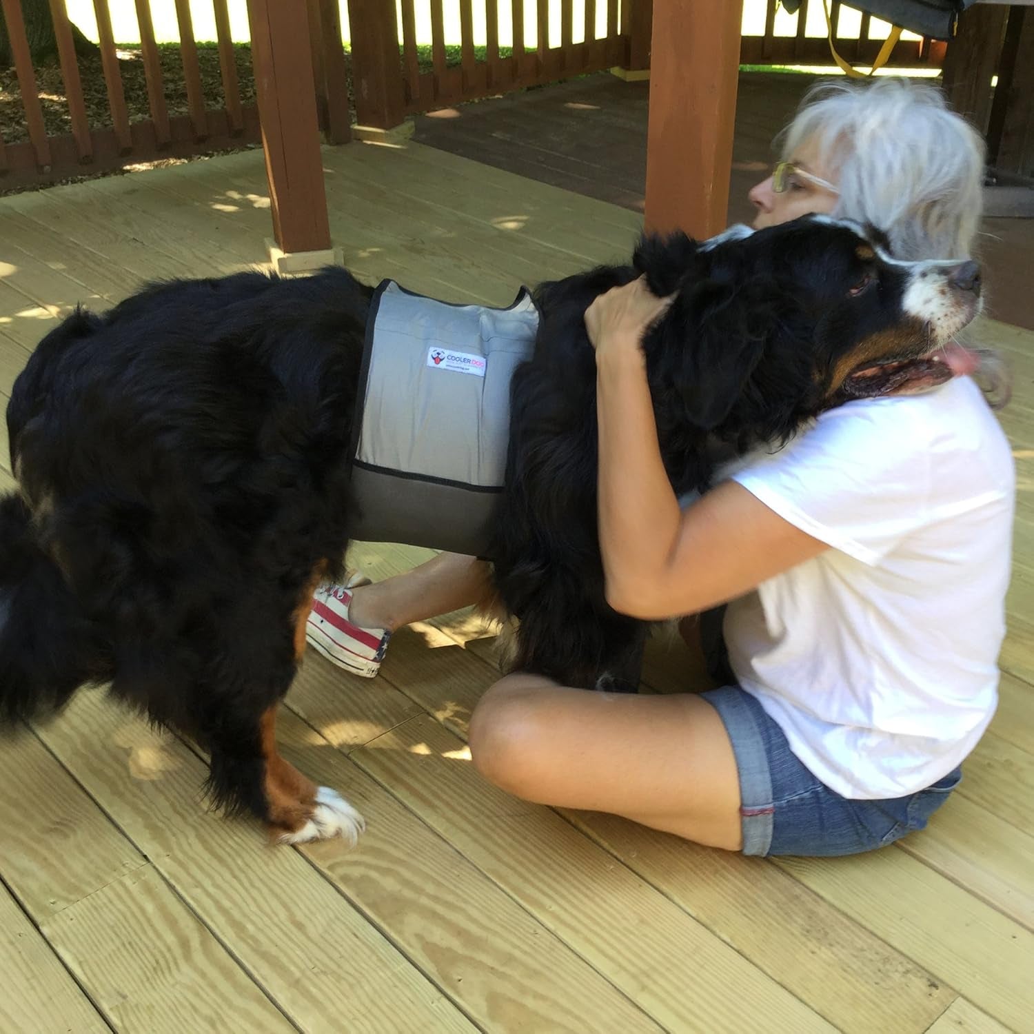 Dog Cooling Vest & Cooling Collar – Ice Vest for Hot Weather Heat Relief, Re-Freezable Pure Water Inserts (Large 27”–34” Girth)