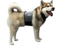 Dog Cooling Vest & Cooling Collar – Ice Vest for Hot Weather Heat Relief, Re-Freezable Pure Water Inserts (Large 27”–34” Girth)