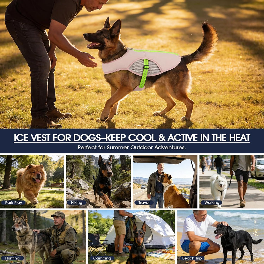 Dog Cooling Vest for Summer, Lightweight Cooling Shirt for Dogs with D-Ring | 3-Layer Cooling Fabric Activates with Water; Keep Dogs Cooler during Walks, Hiking, Training and Outdoor Activities.